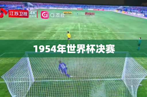 1954年世界杯决赛 1954年世界杯决赛