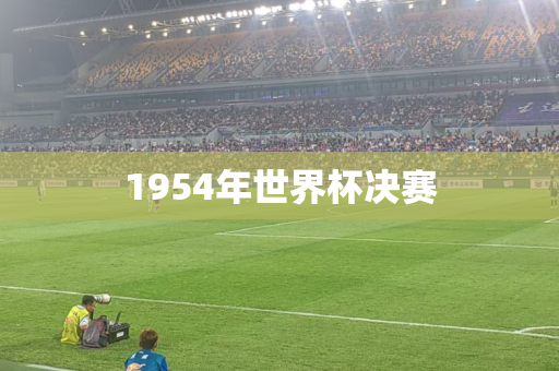 1954年世界杯决赛 1954年世界杯决赛