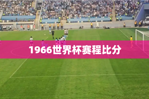 1966世界杯赛程比分