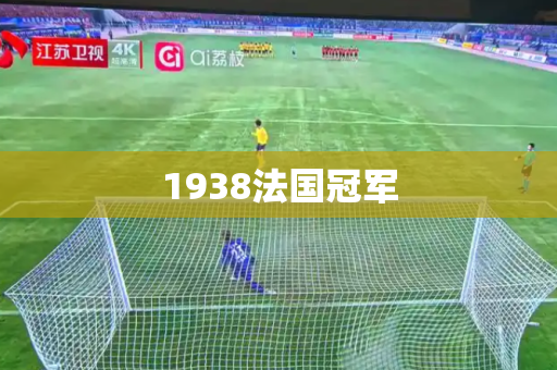 1938法国冠军