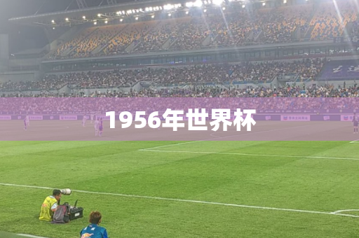 1956年世界杯 1956年世界杯