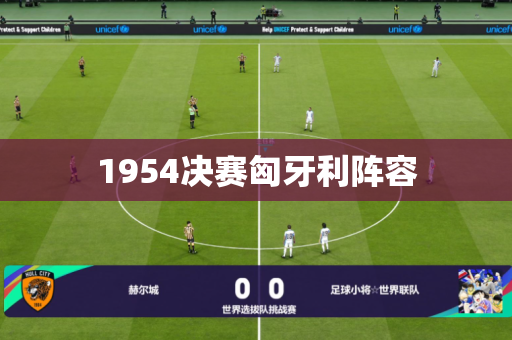 1954决赛匈牙利阵容