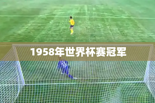 1958年世界杯赛冠军 1958年世界杯赛冠军