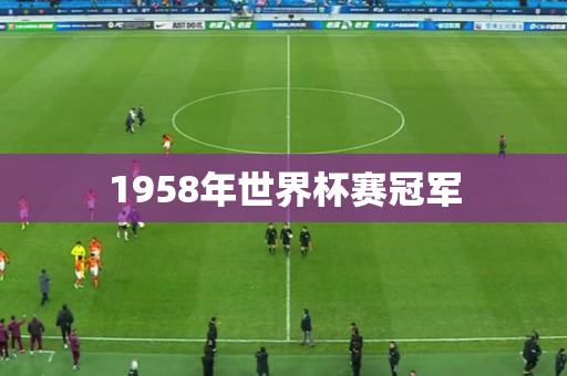 1958年世界杯赛冠军 1958年世界杯赛冠军
