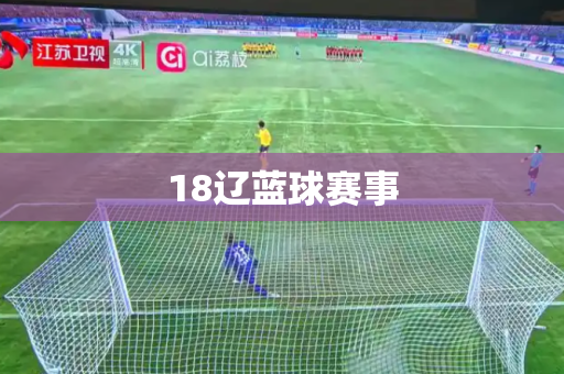 18辽蓝球赛事