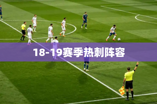 18-19赛季热刺阵容 18-19赛季热刺阵容