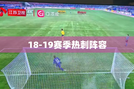 18-19赛季热刺阵容