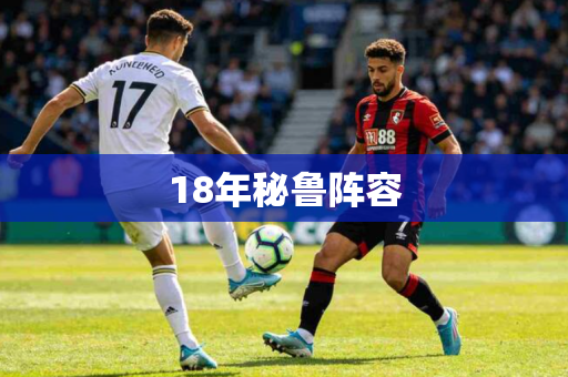 18年秘鲁阵容 18年秘鲁阵容