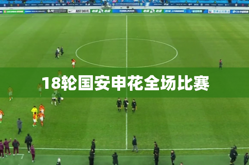 18轮国安申花全场比赛 18轮国安申花全场比赛
