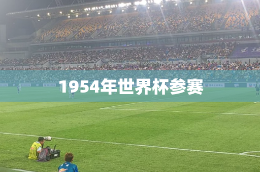 1954年世界杯参赛 1954年世界杯参赛