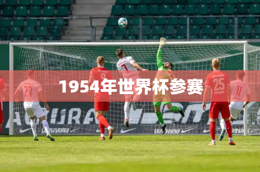 1954年世界杯参赛 1954年世界杯参赛