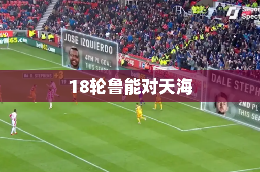 18轮鲁能对天海 18轮鲁能对天海