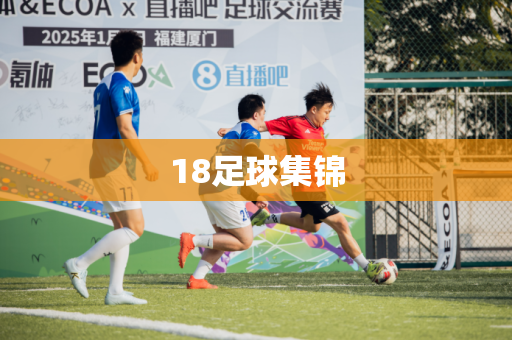 18足球集锦 18足球集锦