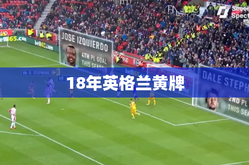 18年英格兰黄牌 18年英格兰黄牌