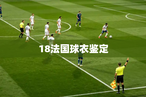18法国球衣鉴定 18法国球衣鉴定