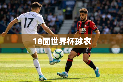 18面世界杯球衣 18面世界杯球衣