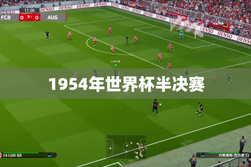 1954年世界杯半决赛 1954年世界杯半决赛