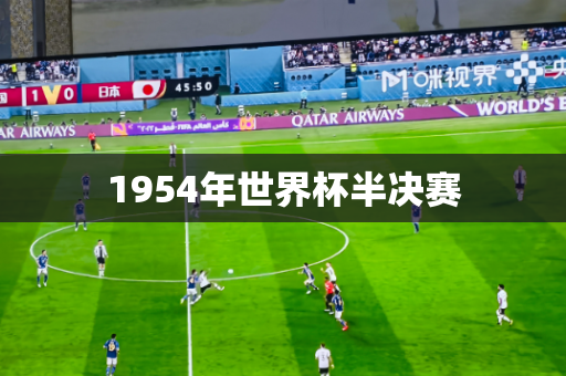 1954年世界杯半决赛