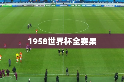 1958世界杯全赛果