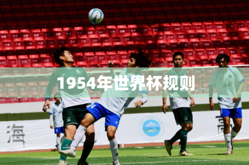 1954年世界杯规则