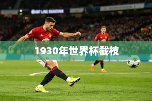 1930年世界杯截枝