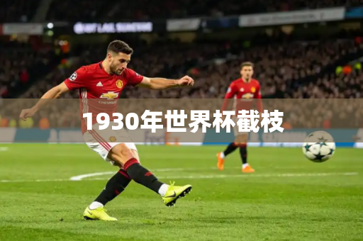 1930年世界杯截枝