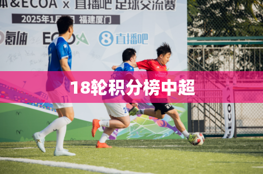 18轮积分榜中超