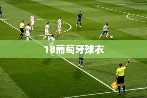 18葡萄牙球衣 18葡萄牙球衣