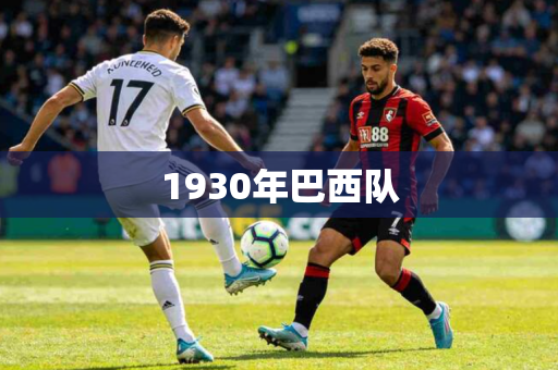 1930年巴西队 1930年巴西队