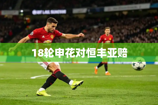18轮申花对恒丰亚赔