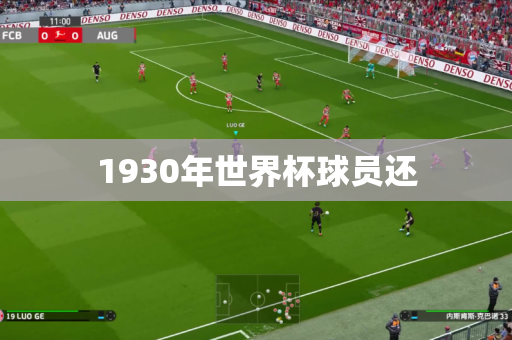 1930年世界杯球员还