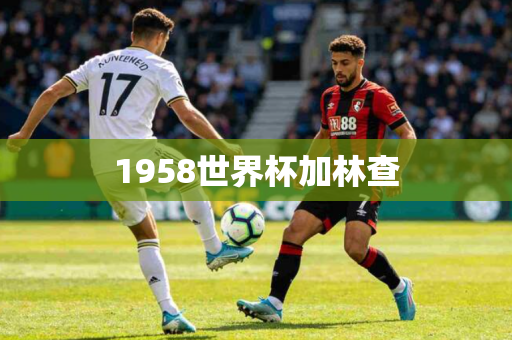 1958世界杯加林查