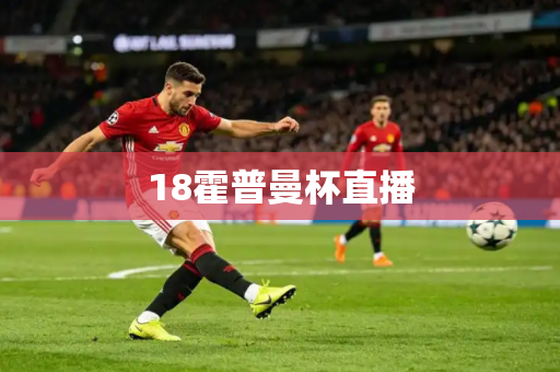 18霍普曼杯直播 18霍普曼杯直播