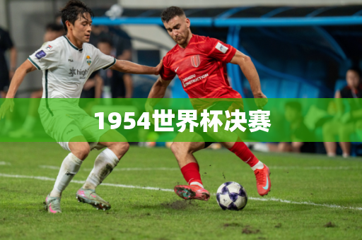 1954世界杯决赛