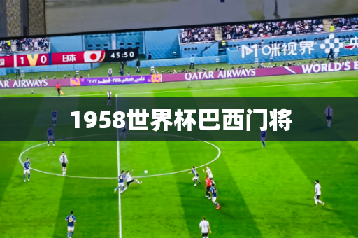 1958世界杯巴西门将 1958世界杯巴西门将
