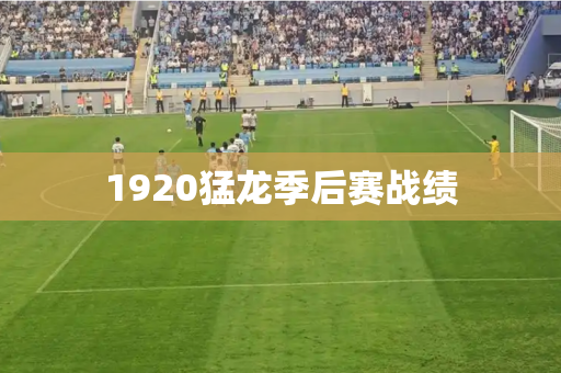 1920猛龙季后赛战绩