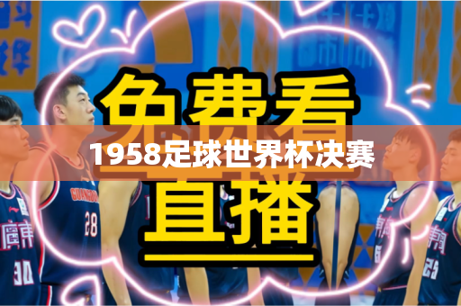 1958足球世界杯决赛 1958足球世界杯决赛