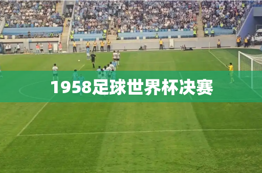 1958足球世界杯决赛 1958足球世界杯决赛