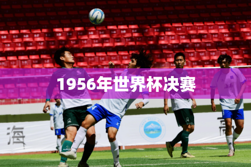 1956年世界杯决赛