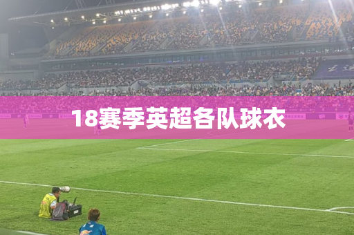18赛季英超各队球衣 18赛季英超各队球衣