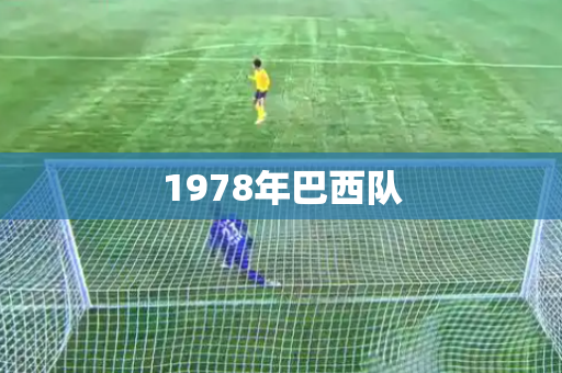 1978年巴西队