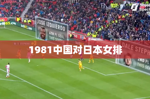 1981中国对日本女排 1981中国对日本女排