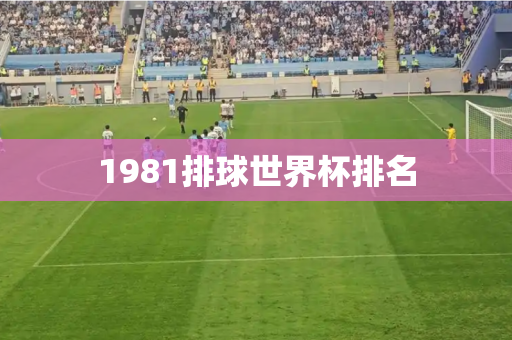 1981排球世界杯排名 1981排球世界杯排名