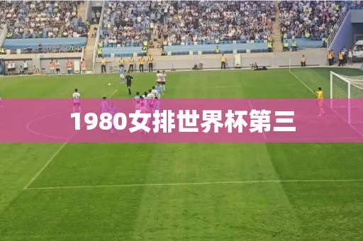 1980女排世界杯第三 1980女排世界杯第三