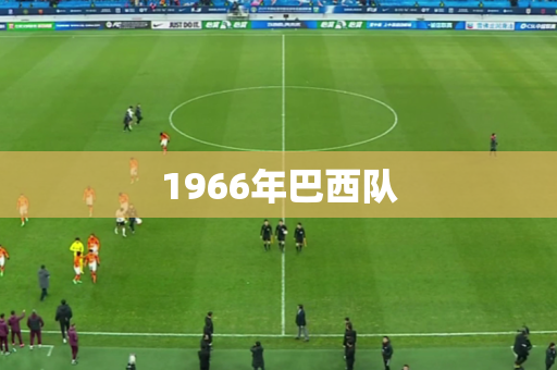 1966年巴西队