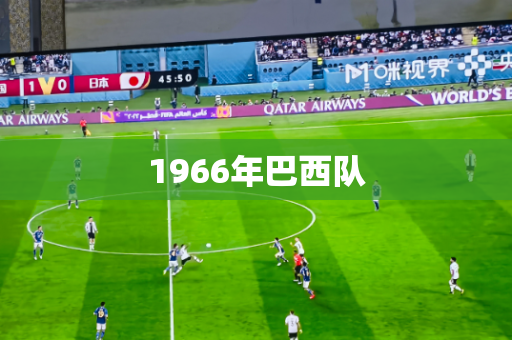 1966年巴西队