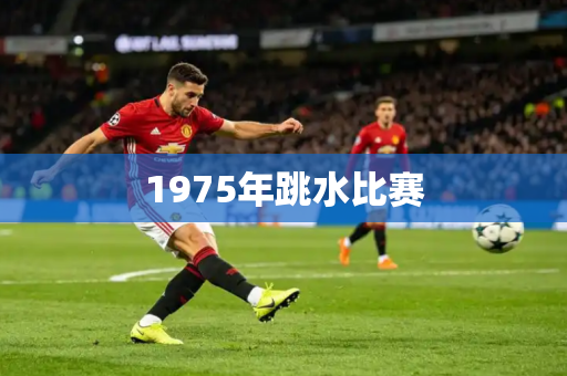 1975年跳水比赛
