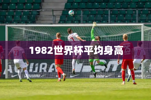 1982世界杯平均身高 1982世界杯平均身高