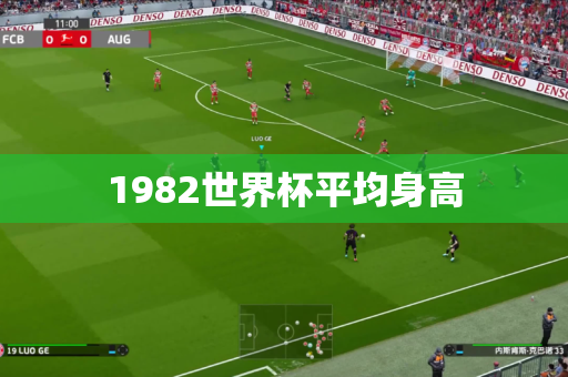 1982世界杯平均身高 1982世界杯平均身高
