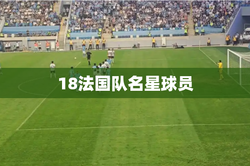 18法国队名星球员